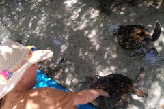 IMG_20220719_110103