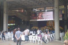 Medellin II